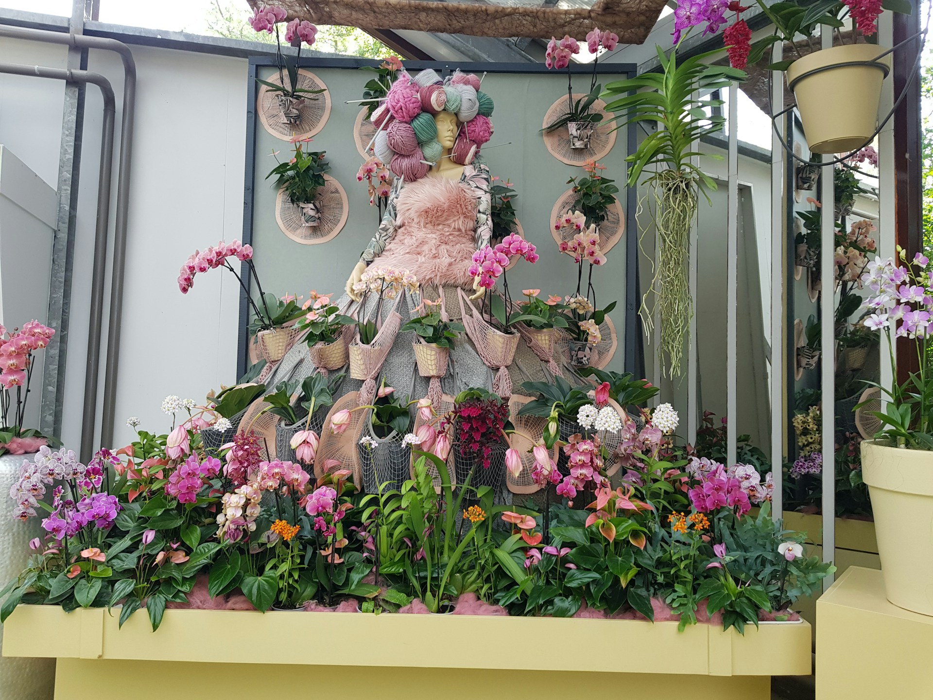 plante exterieure